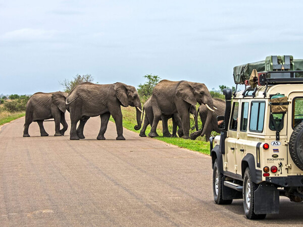 Africa